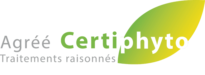 Une équipe de spécialistes